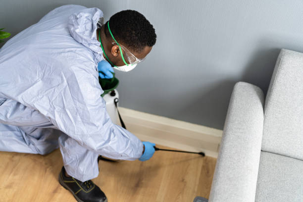 Emergency Pest Control Services in Murphys, CA